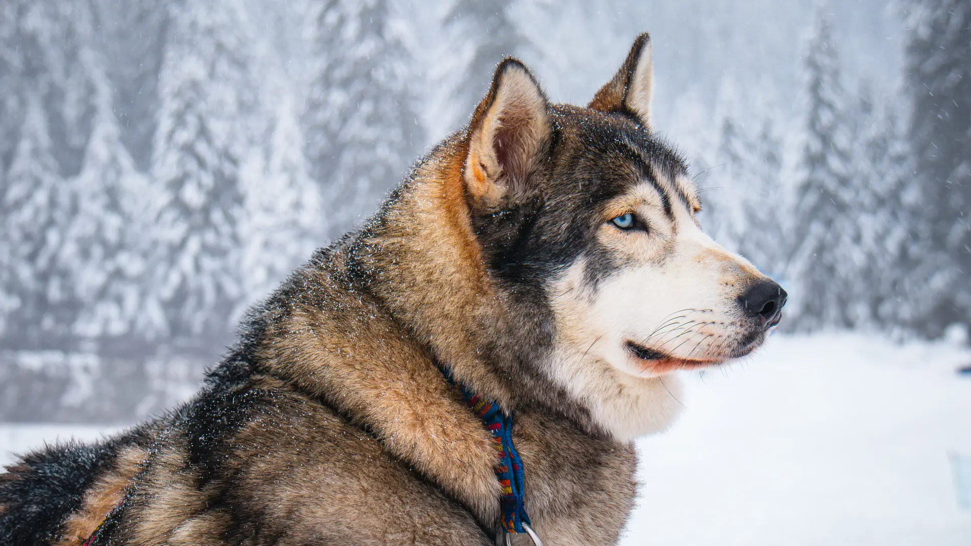 Gros plan sur Oakley