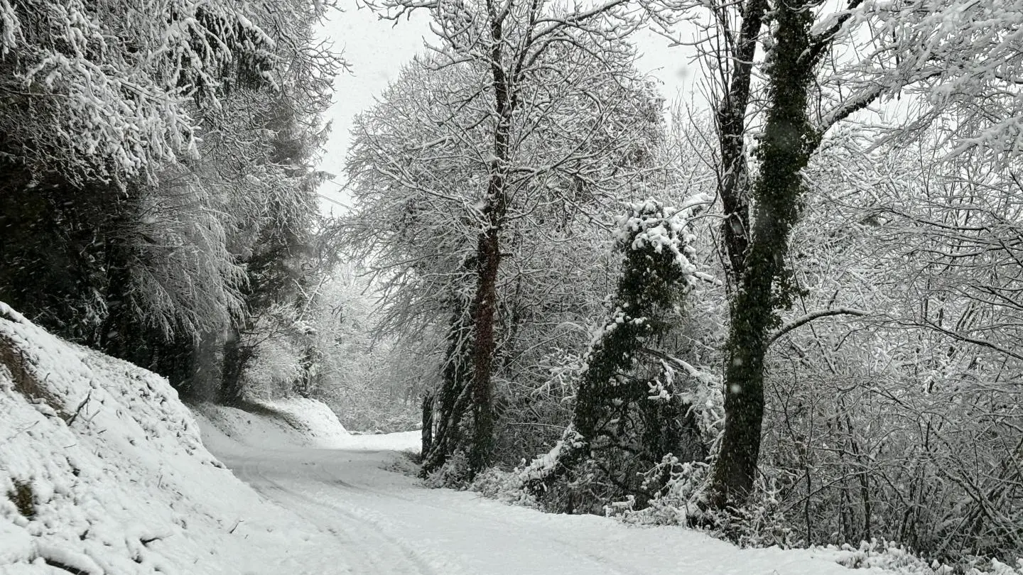 Route avec la neige avant le passage du chasse  neige