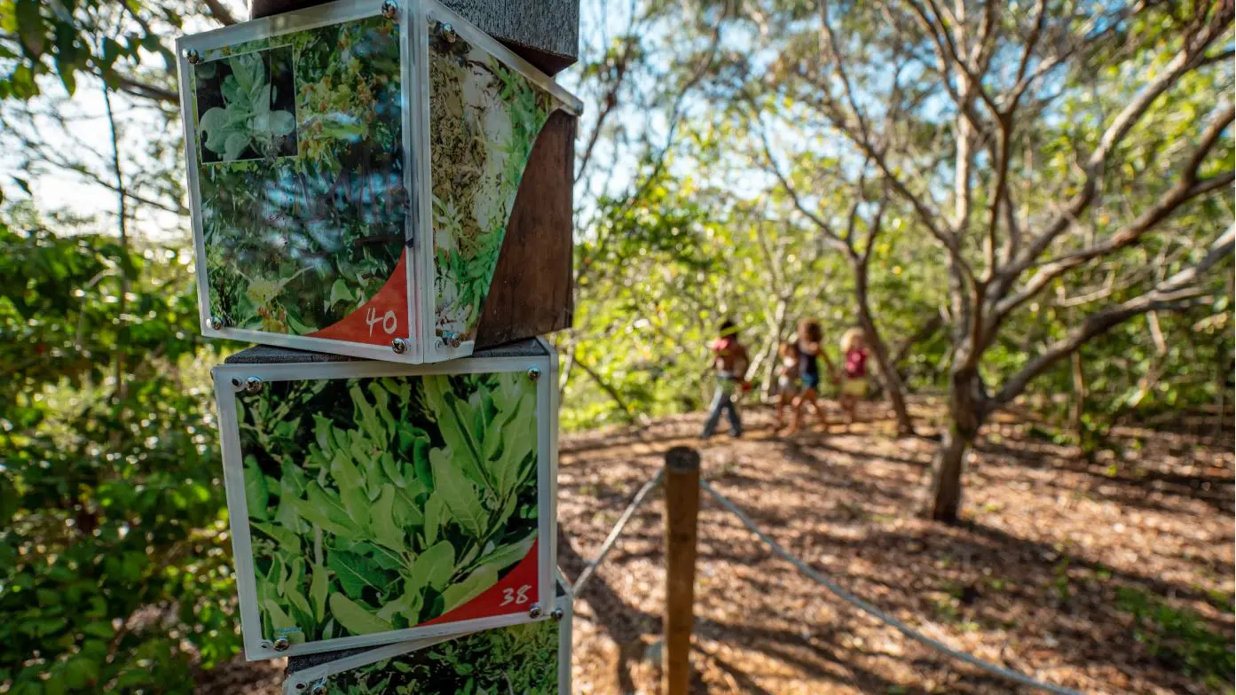 Des poteaux d'informations vous feront découvrir de plus près les espèces végétales et souvent endémiques, ayant trouver refuge au sein de l'éco-sentier