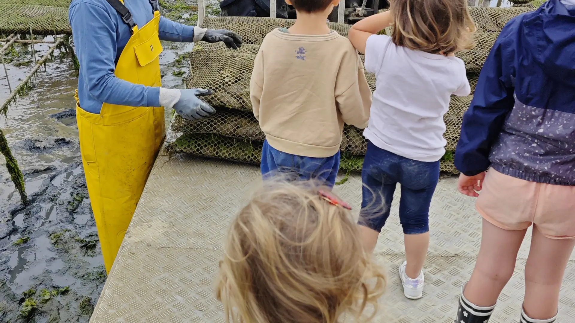 Visita a los parques ostrícolas