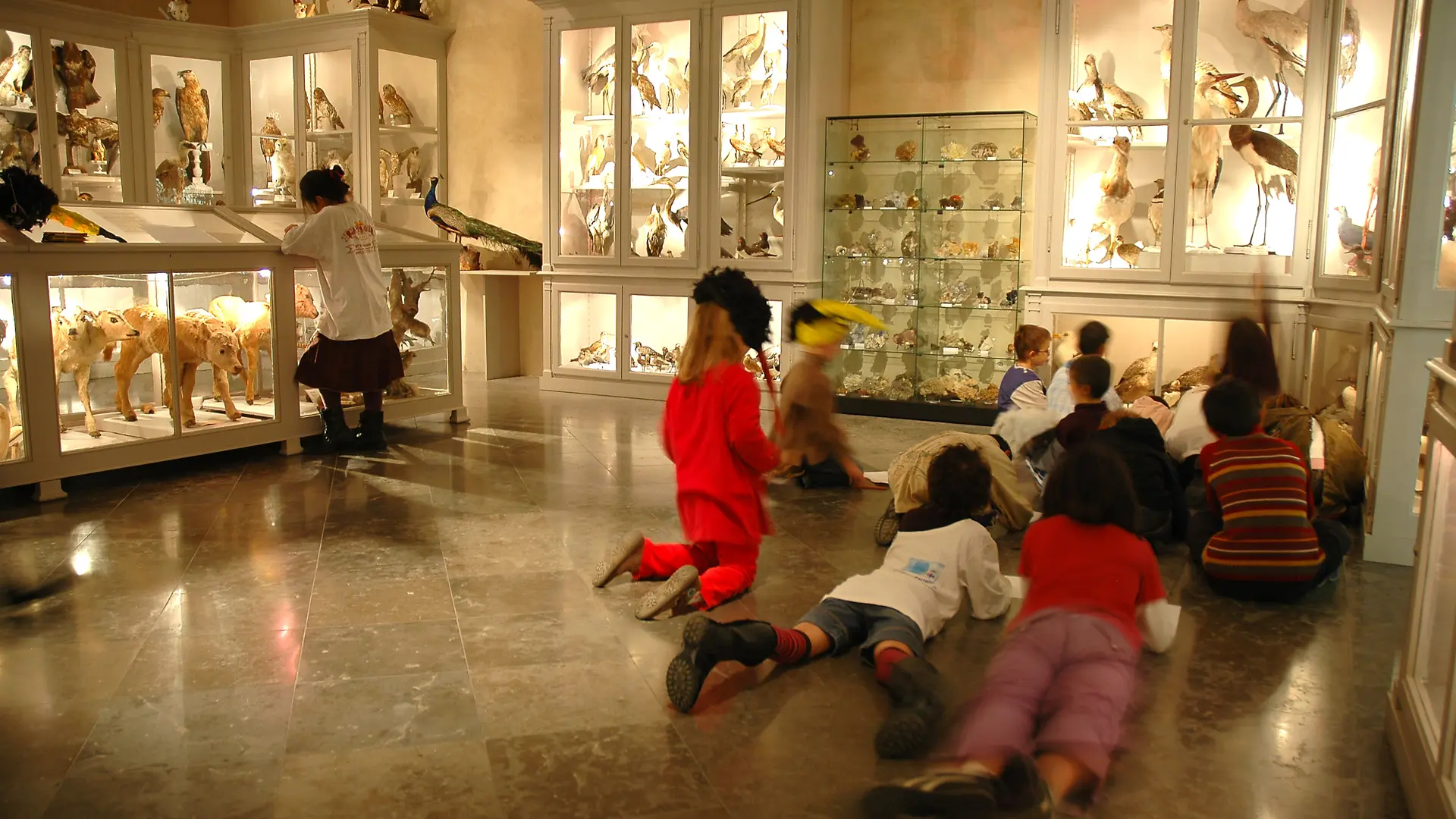 Cabinet de curiosités