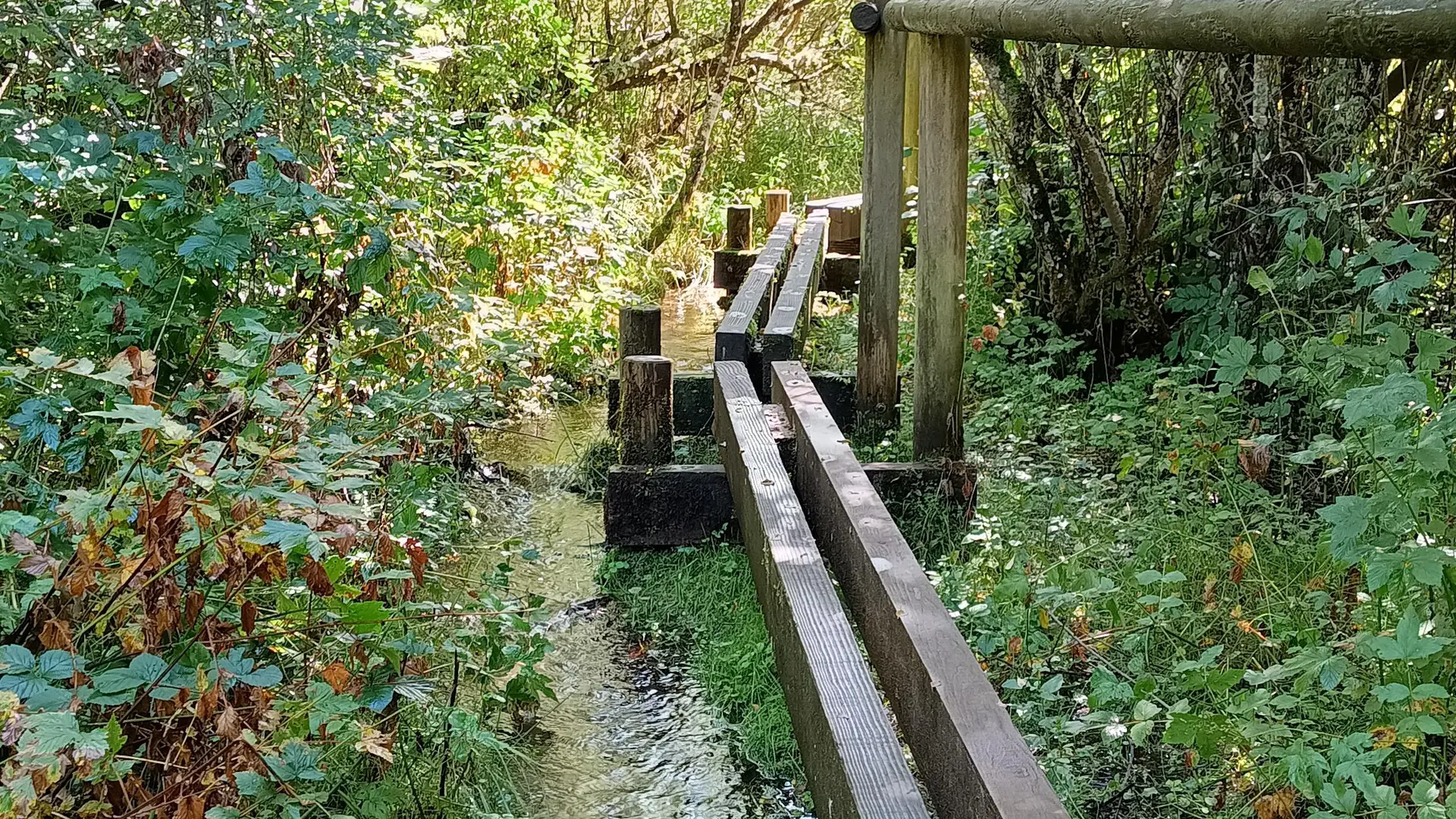 Cheminement sur pilotis au marais du Maravant