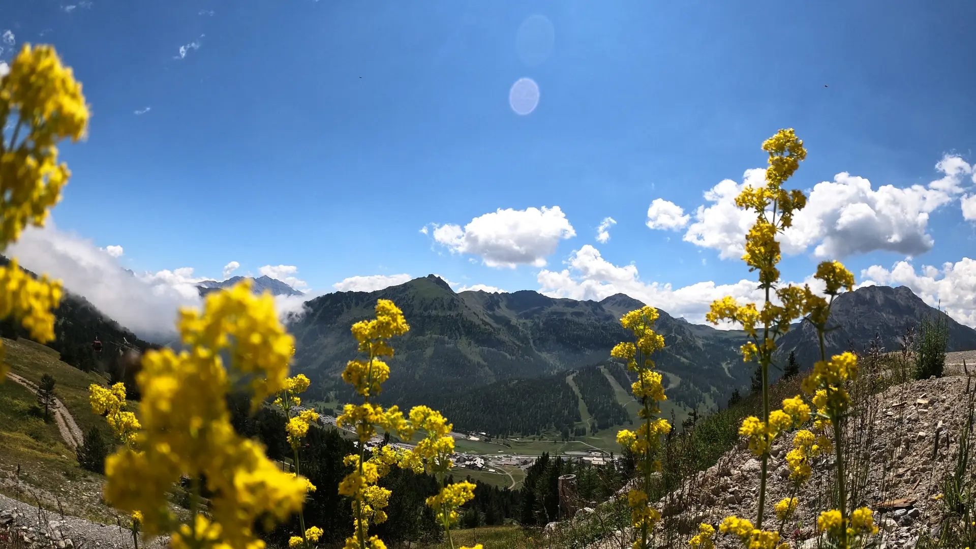 Vue panoramique