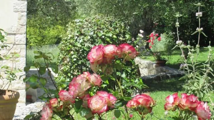 Jardin Gîte L'Emiliana à Roquefort les Pins Gîtes de France Alpes-Maritimes