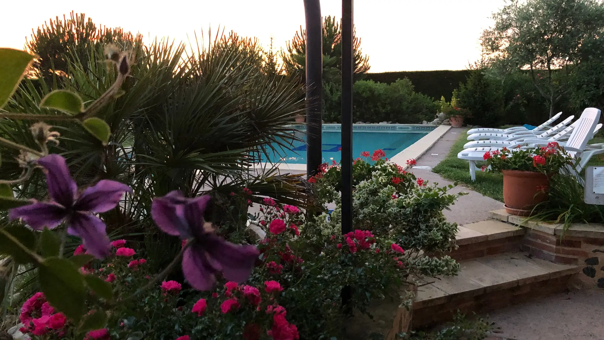 Couché de soleil sur la piscine