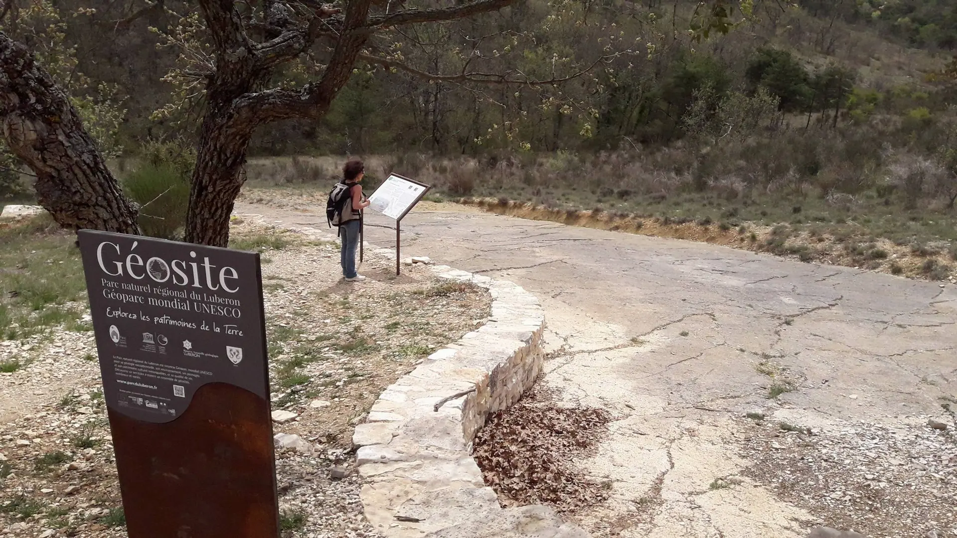 Dalle à empreintes fossilisées de Viens