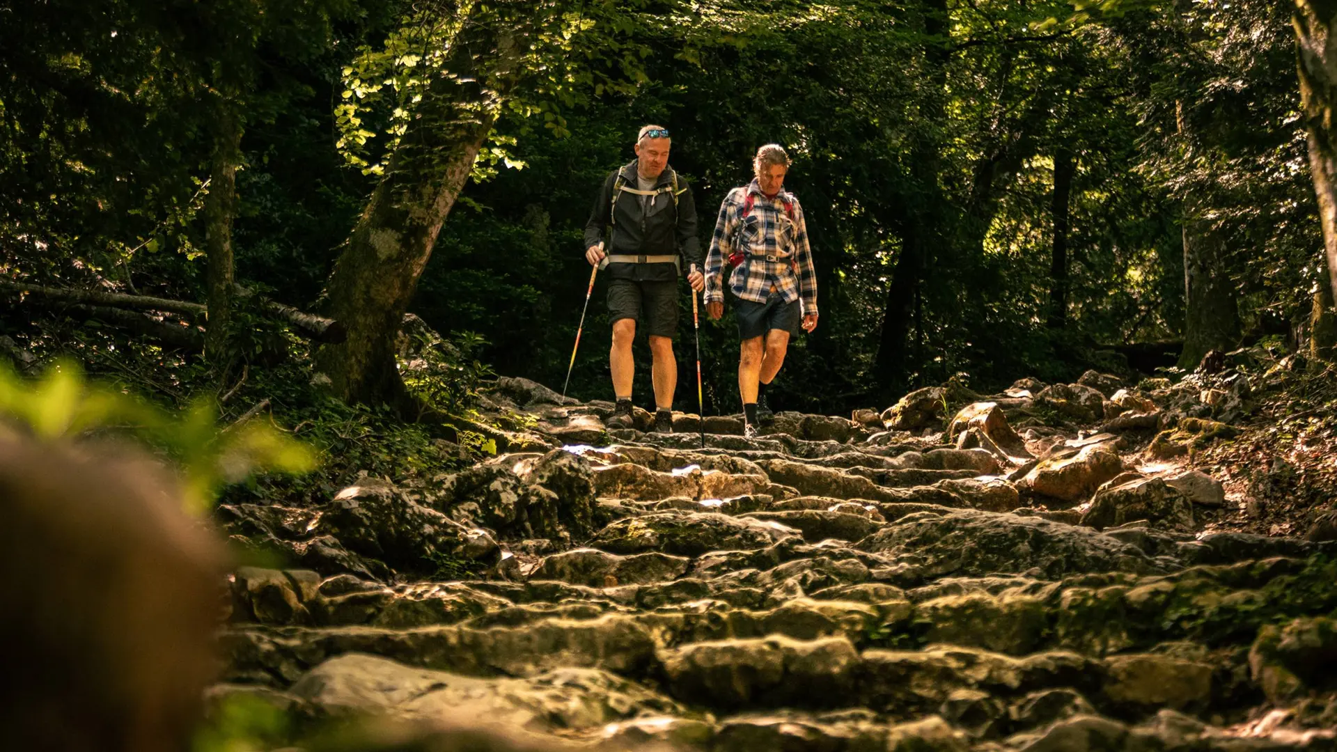 Descente sur le chemin du canapé