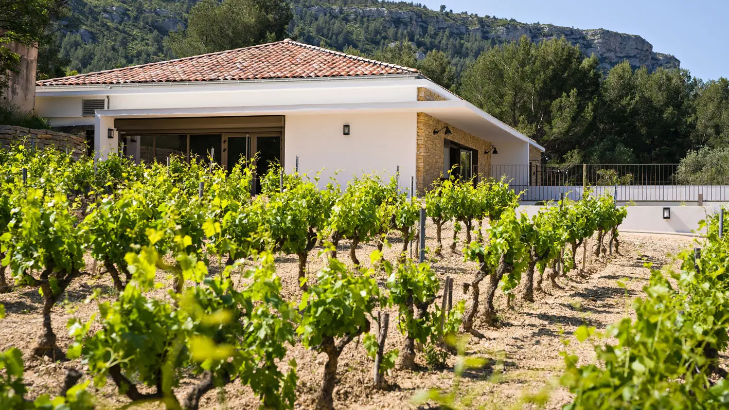 La Dona Tigana : Dégustation commentée de 3 vins