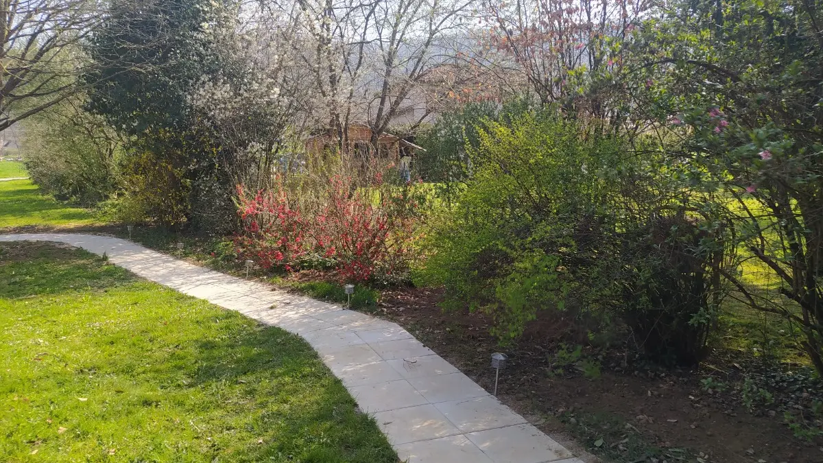 Allée d'accès au gîte