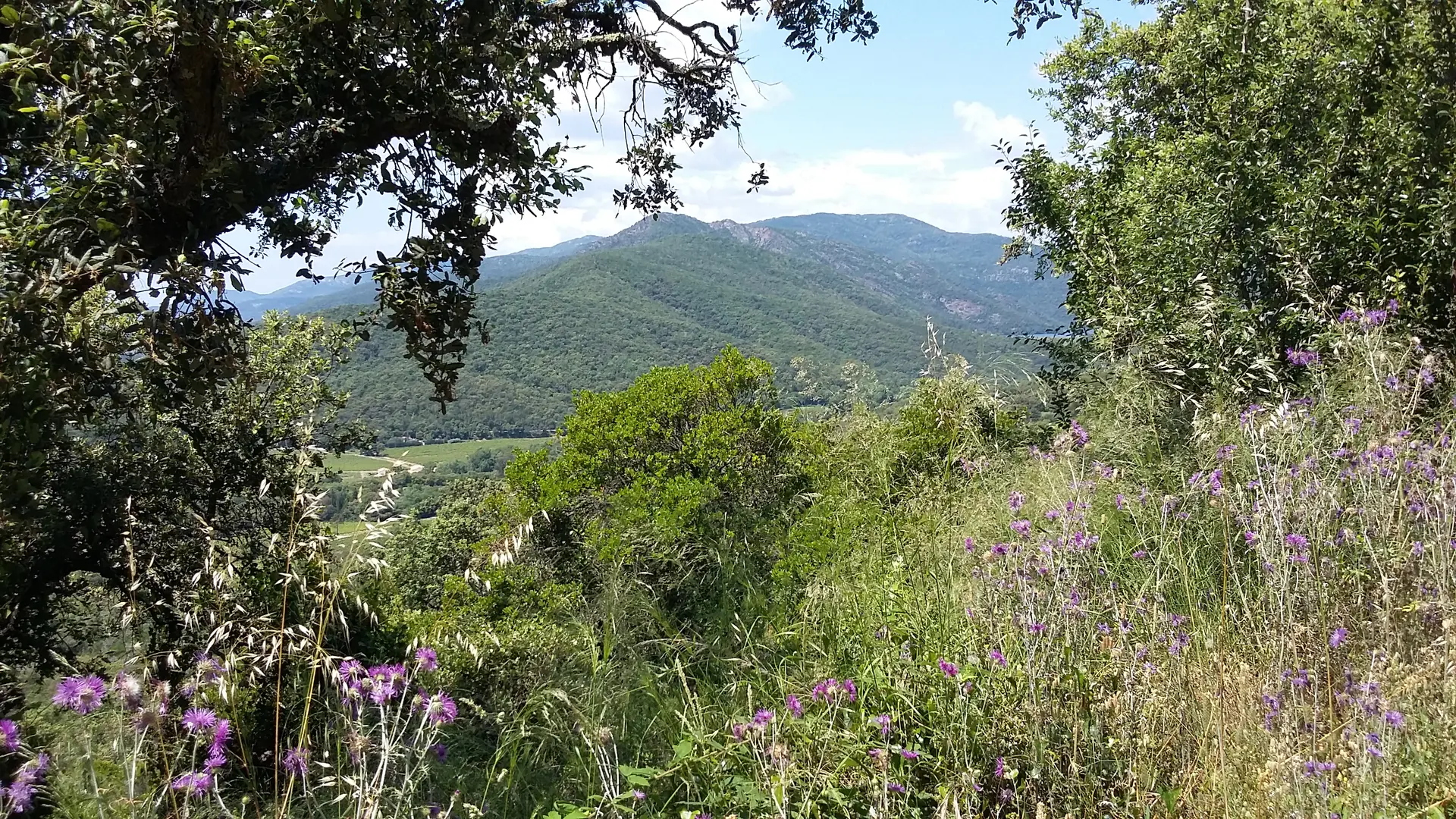 chemin du Laïré-La Mole