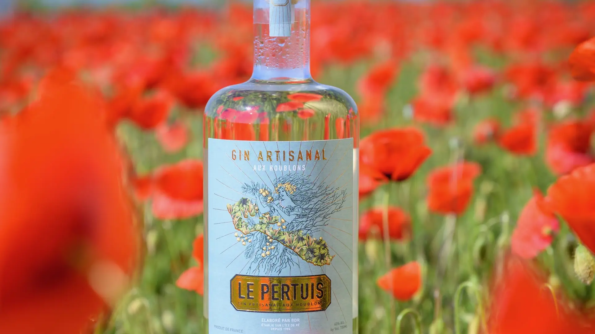 Gin aux houblons Le Pertuis