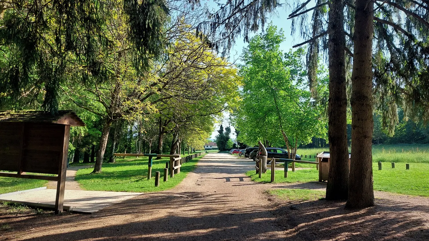 La forêt de Rothonne à Belley