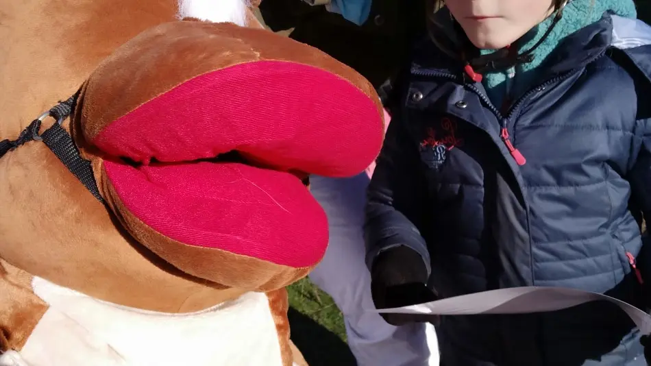 Poney club les petites folies