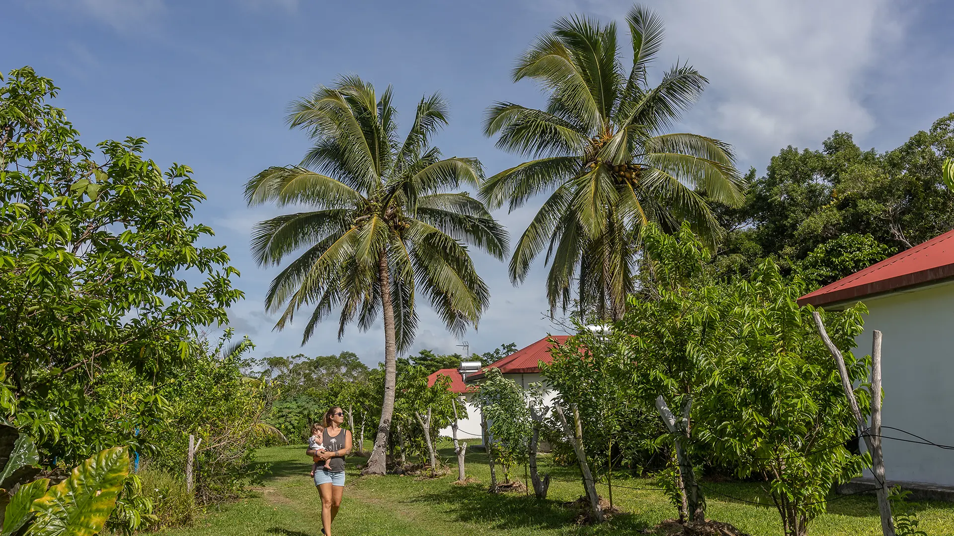 3 bungalows