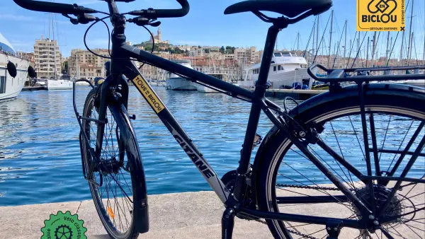 Classic touring bike rental