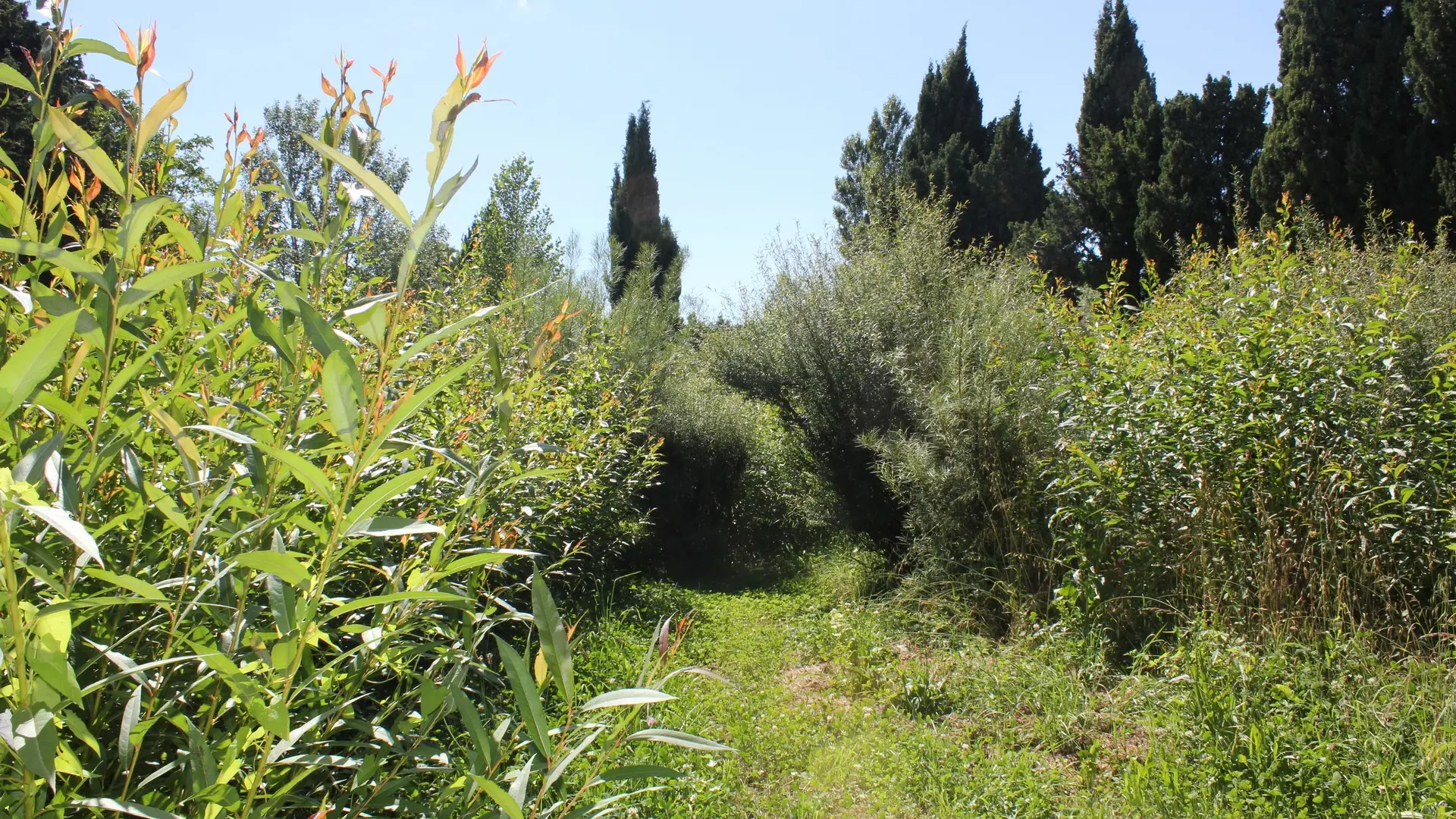 Les Sentiers de l'Abondance in Eygalières Garden