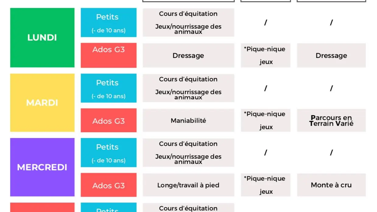 Stages d'été au centre équestre Terre et Ciel_Contrevoz