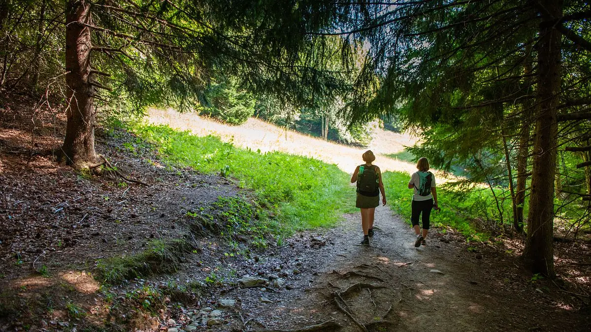 Forêt de Praz Gelaz