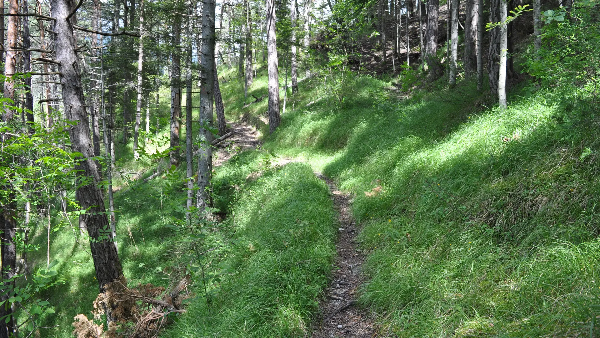 sentier interprétation cyril darius