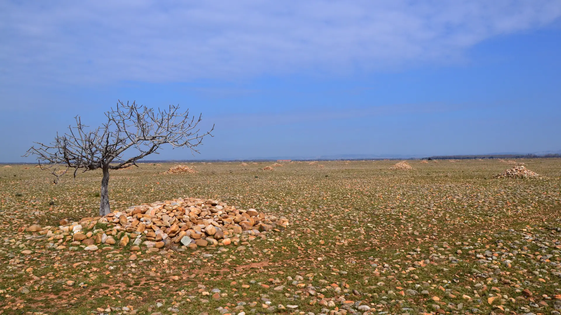 Paysage Réserve Naturelle des Coussouls de Crau