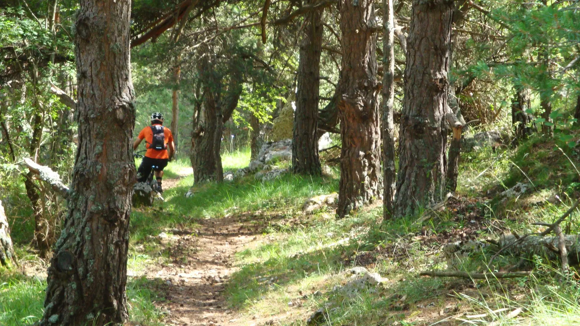 Grand Tour du Pays de Forcalquier en VTT