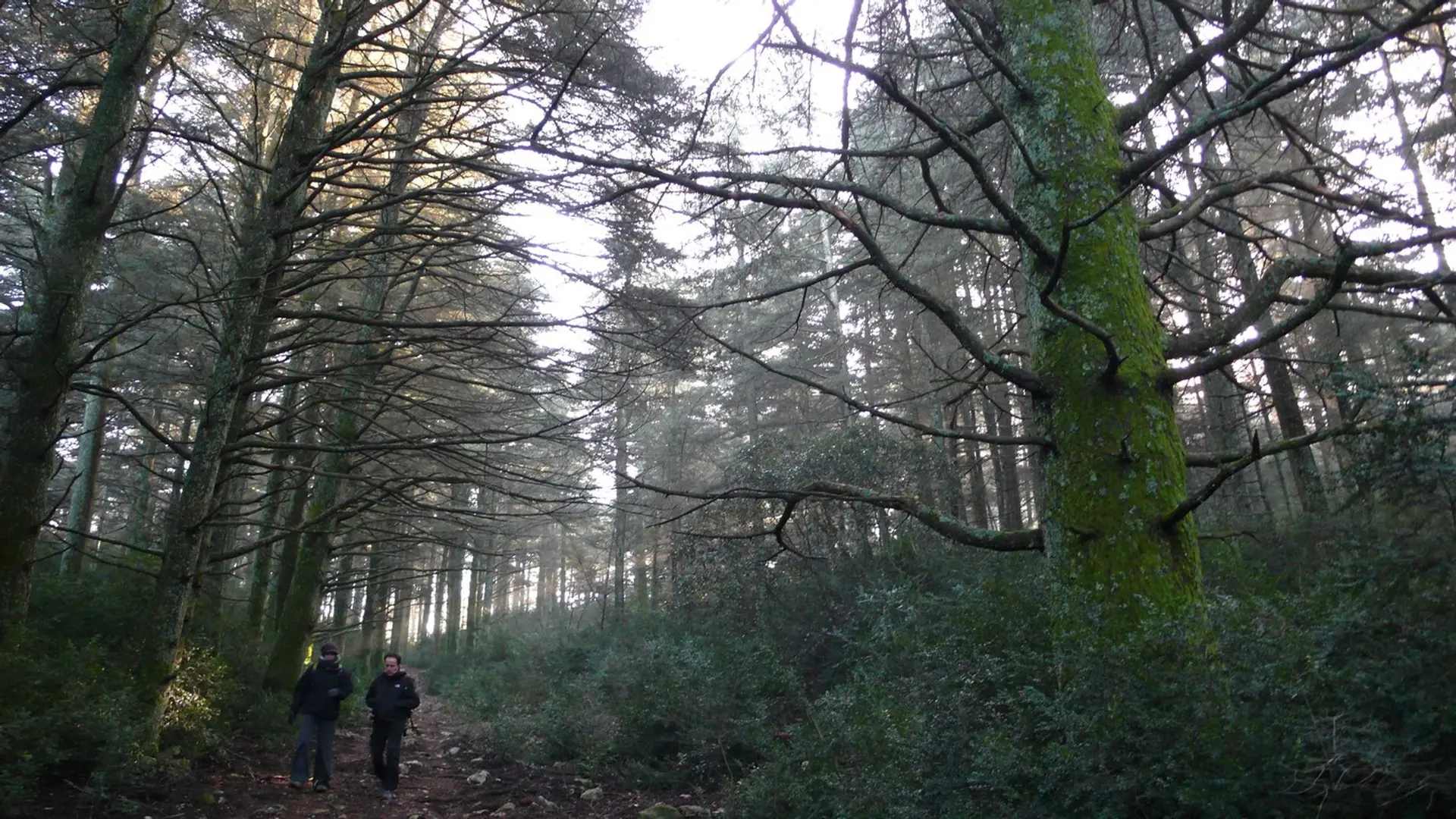 Première descente de l'itinéraire