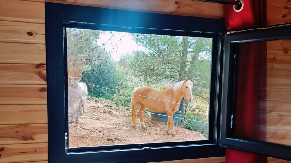 vue de la chambre parentale