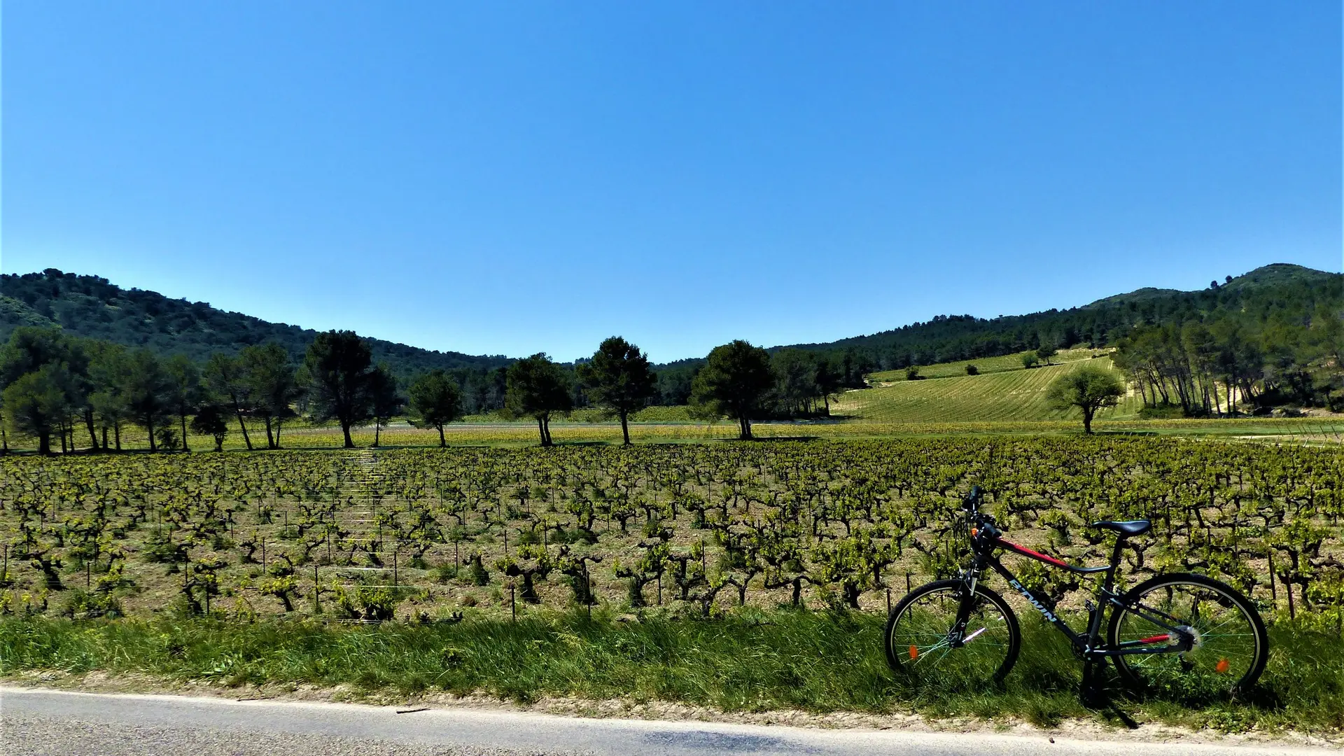 Au cœur du domaine de la Vallongue