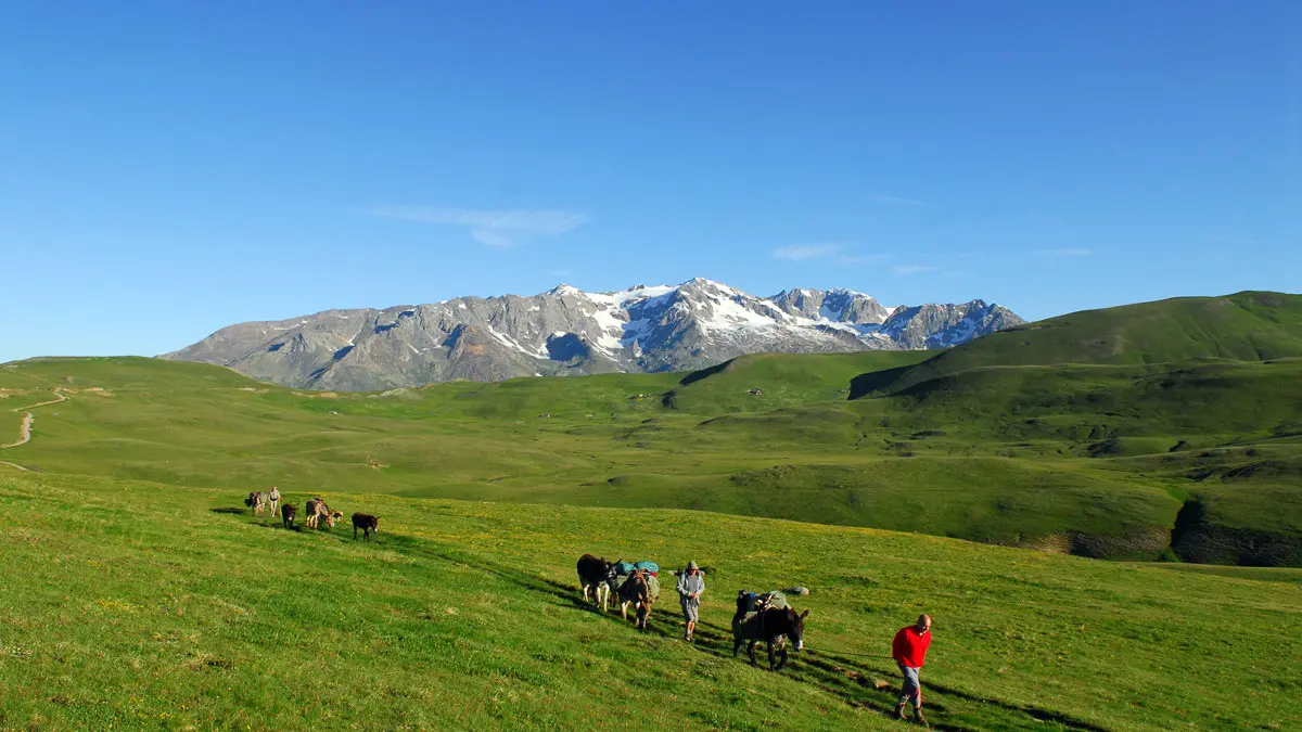 Randonnée sur le Plateau d'Emparis - La Grave