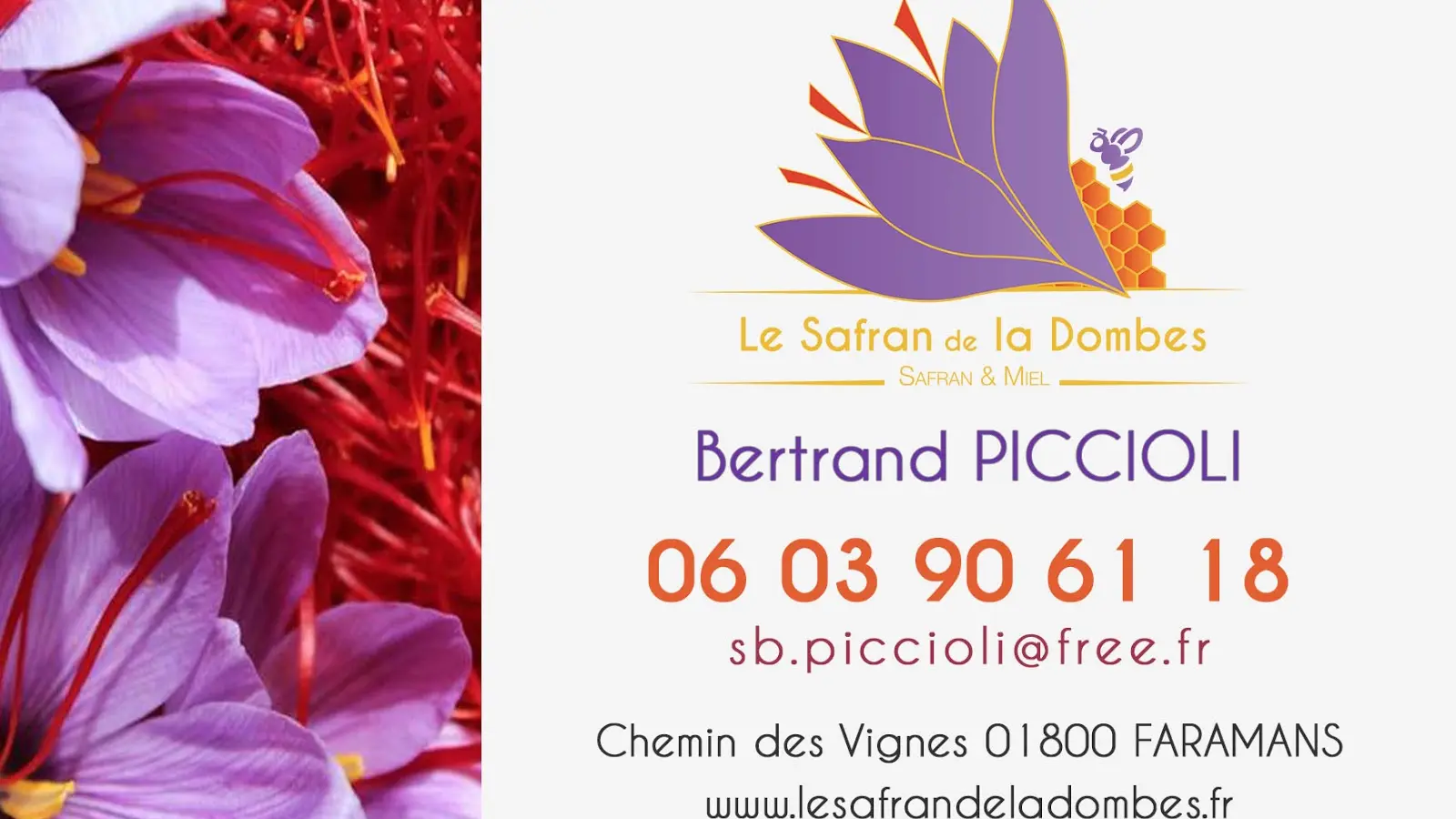 Carte de visite