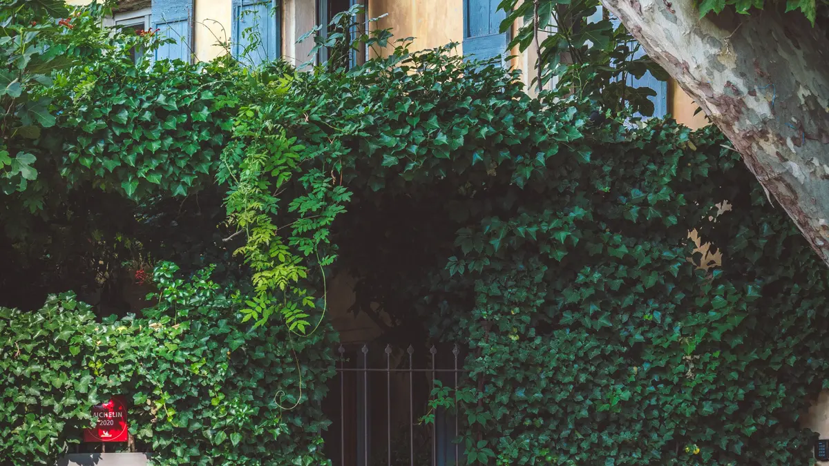 Facade Petite Maison de Cucuron