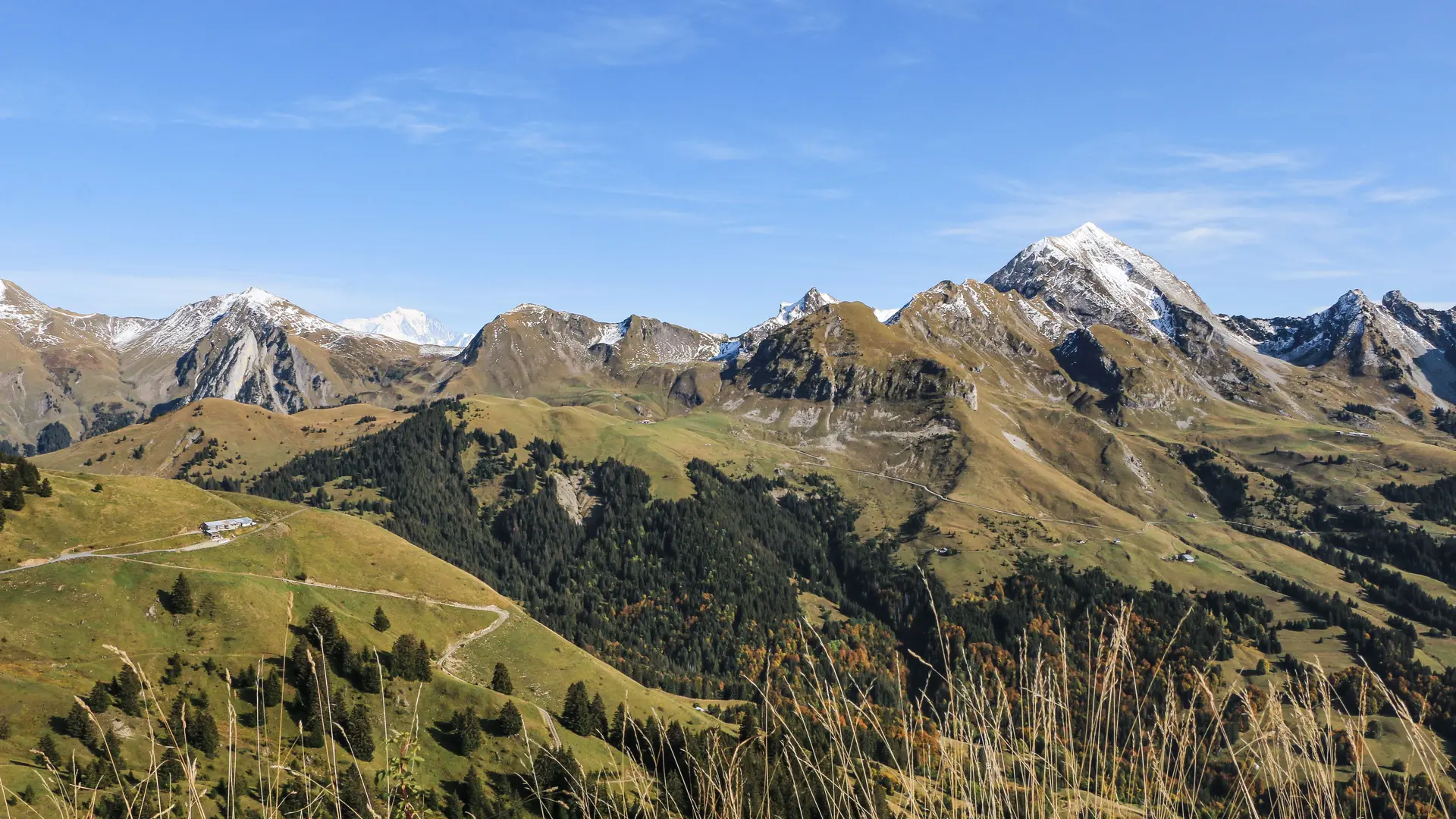 Panorama