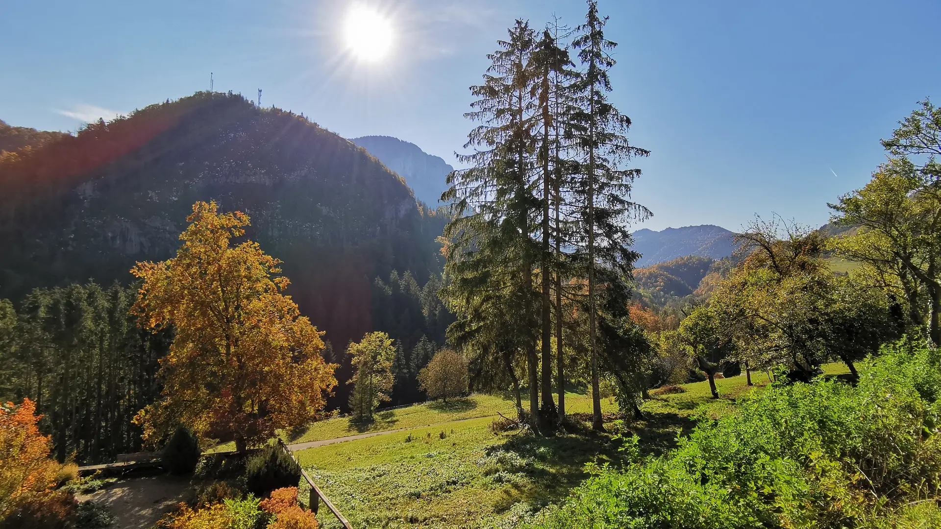 Vue sur les alpages