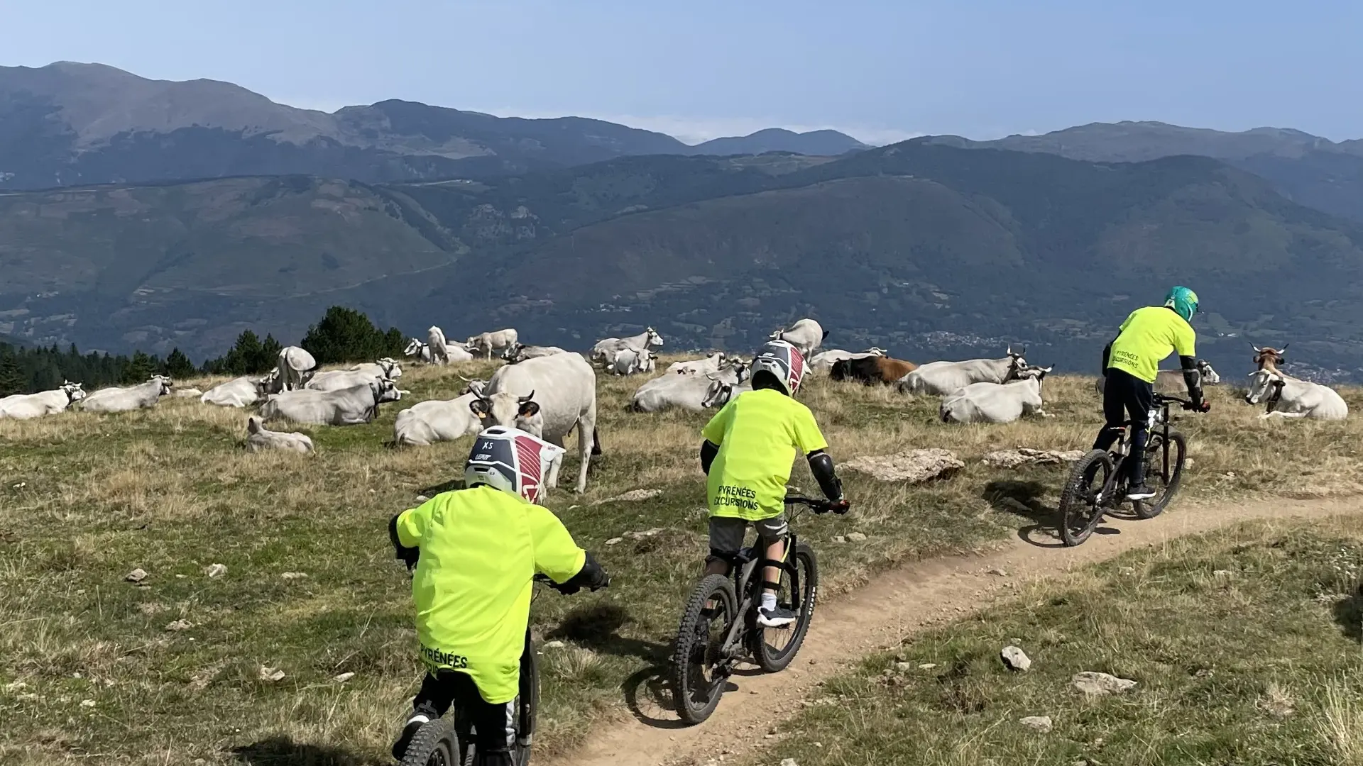Mountain biking group