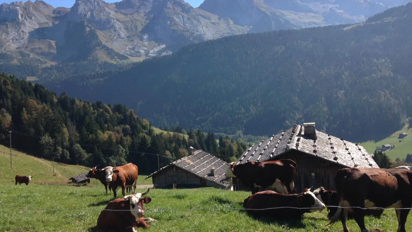 Chalet face à la Chaine des Aravis