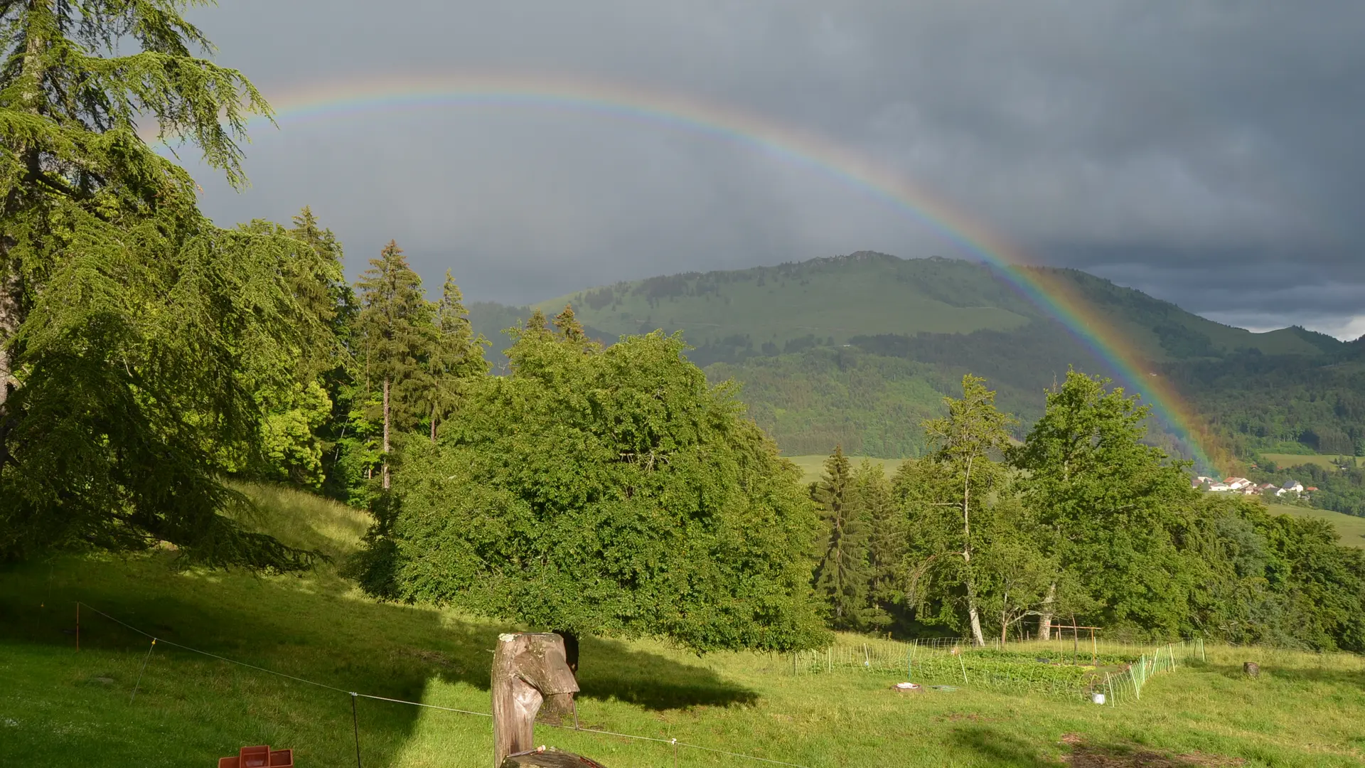 vue extérieure paysage été