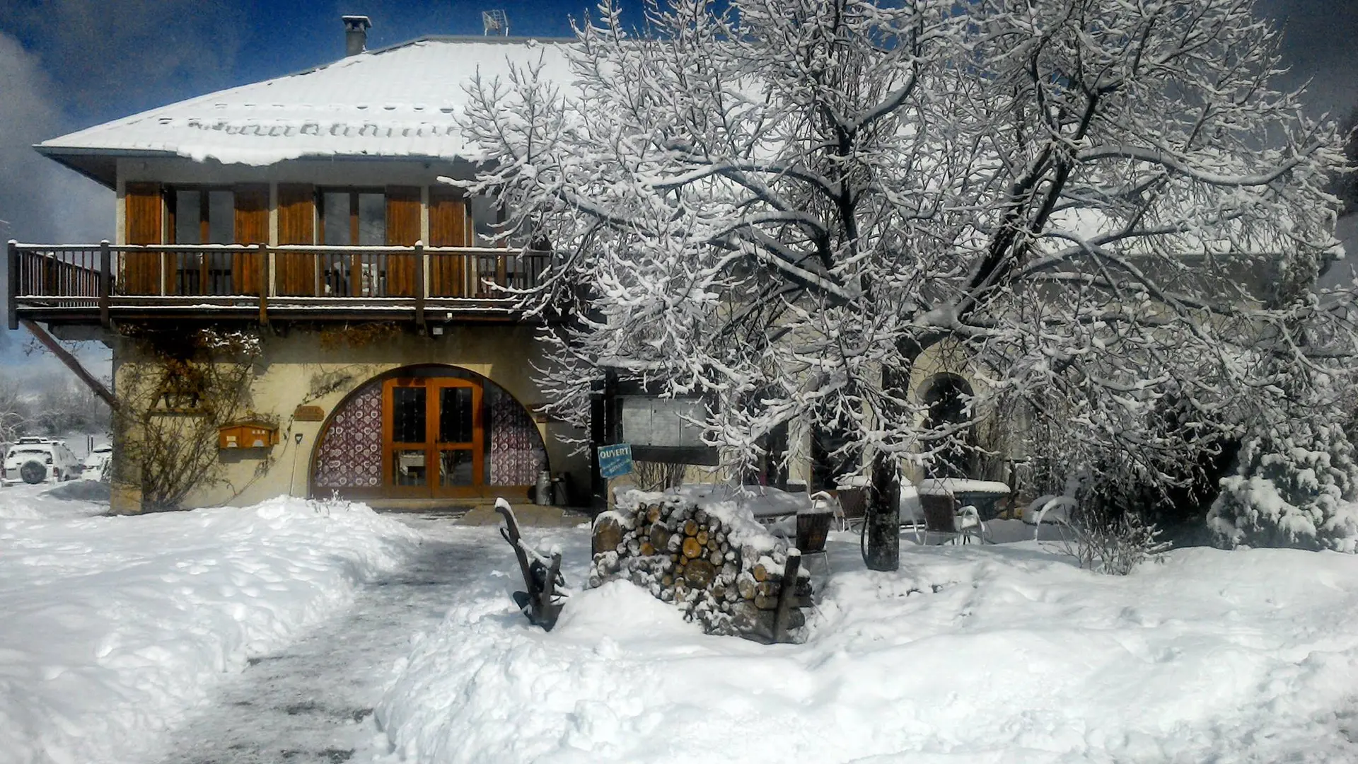 Les Alisiers sous la neige