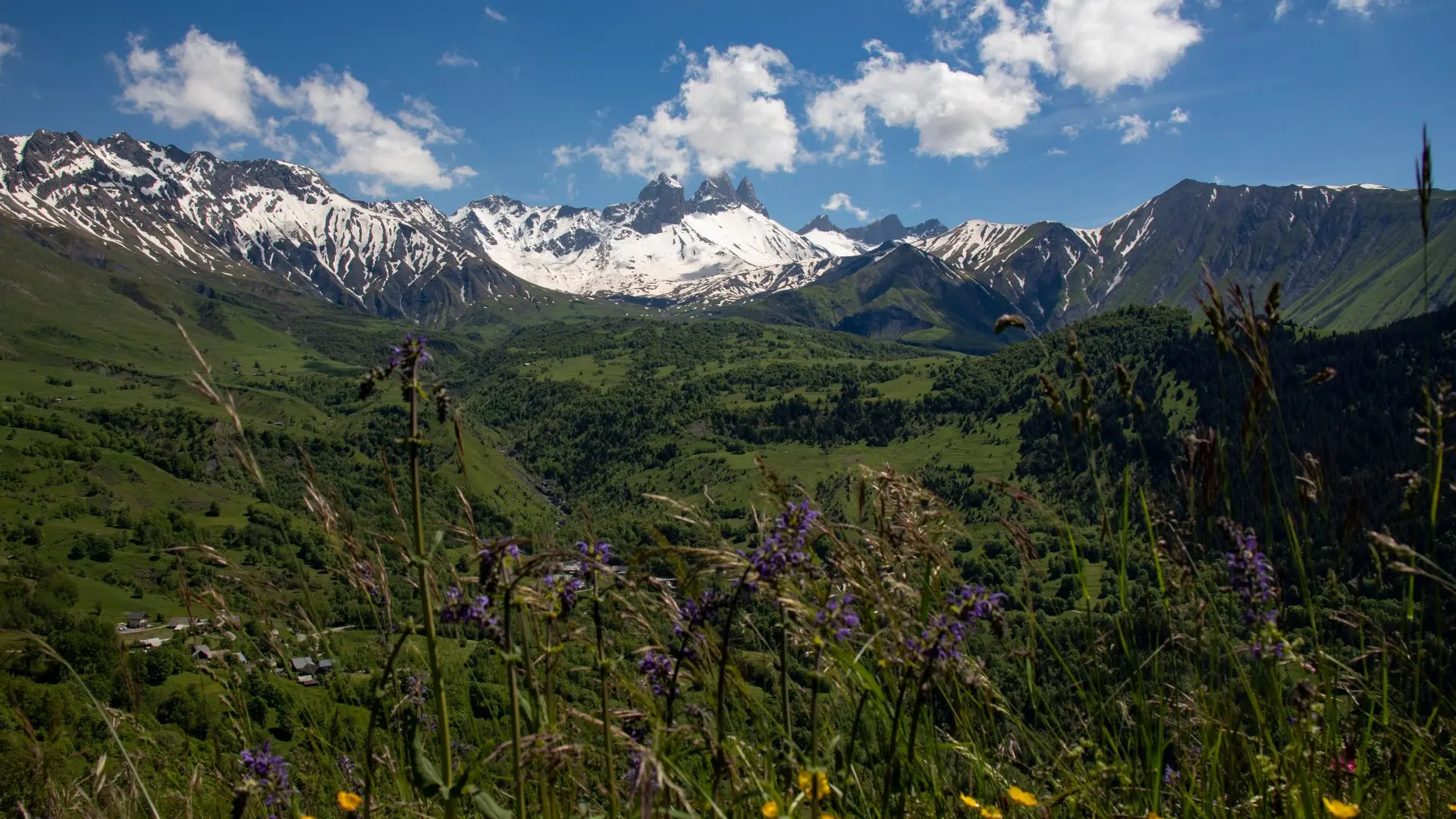 Paysage