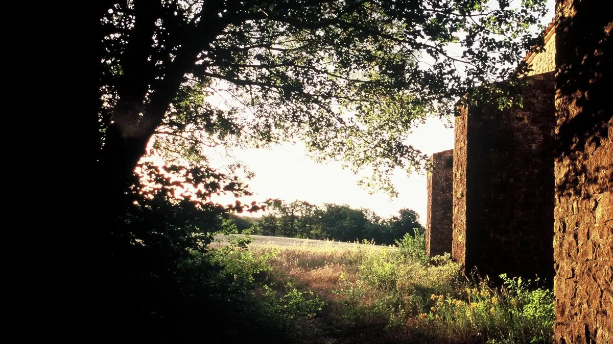 Chapelle Saint-Martin, Camps-la-Source