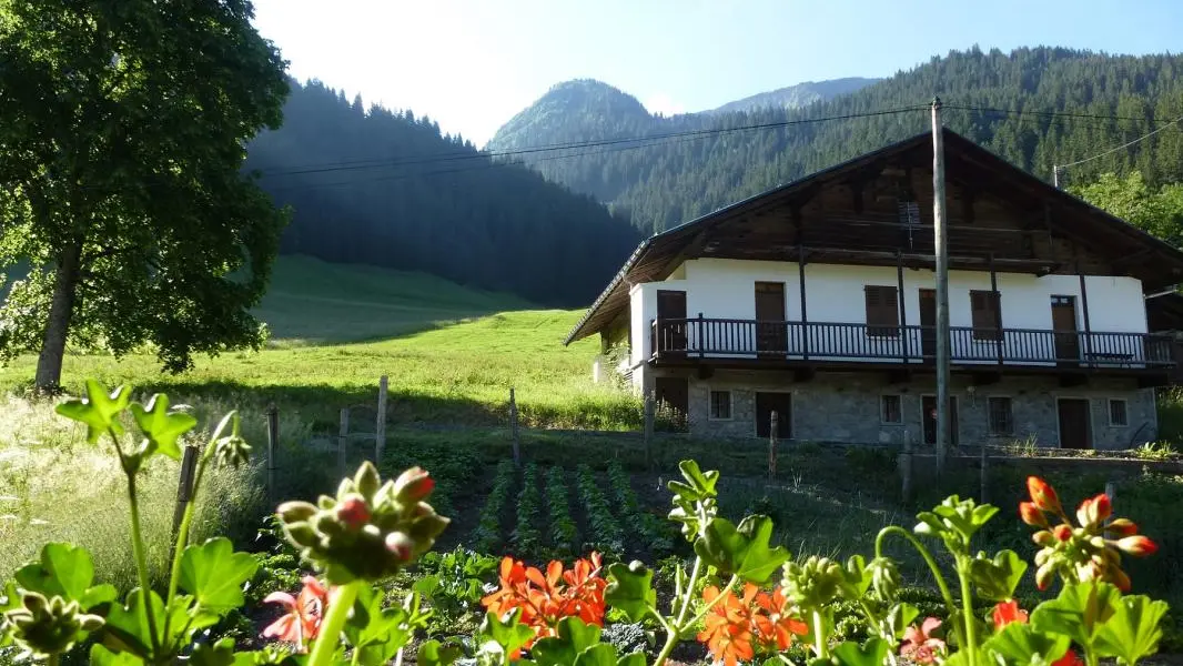 vue sur le potager ,depuis le salon et la salle de bain