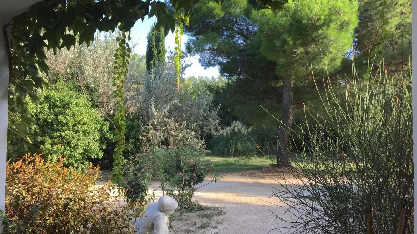 Photo_1