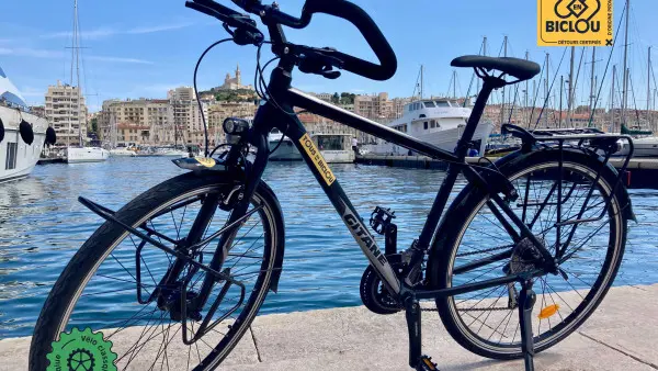 Classic touring bike rental