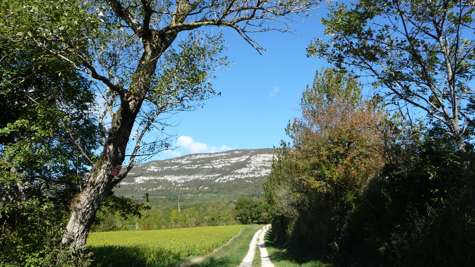 Plateau des Daines