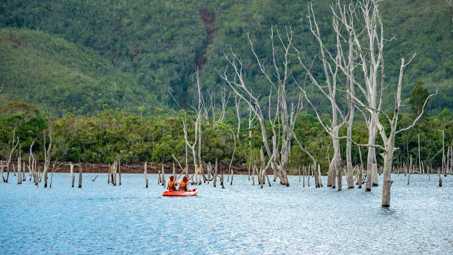 Une excursion où le cadre époustouflant de la forêt noyée vous fera oublier l'effort de la traversée