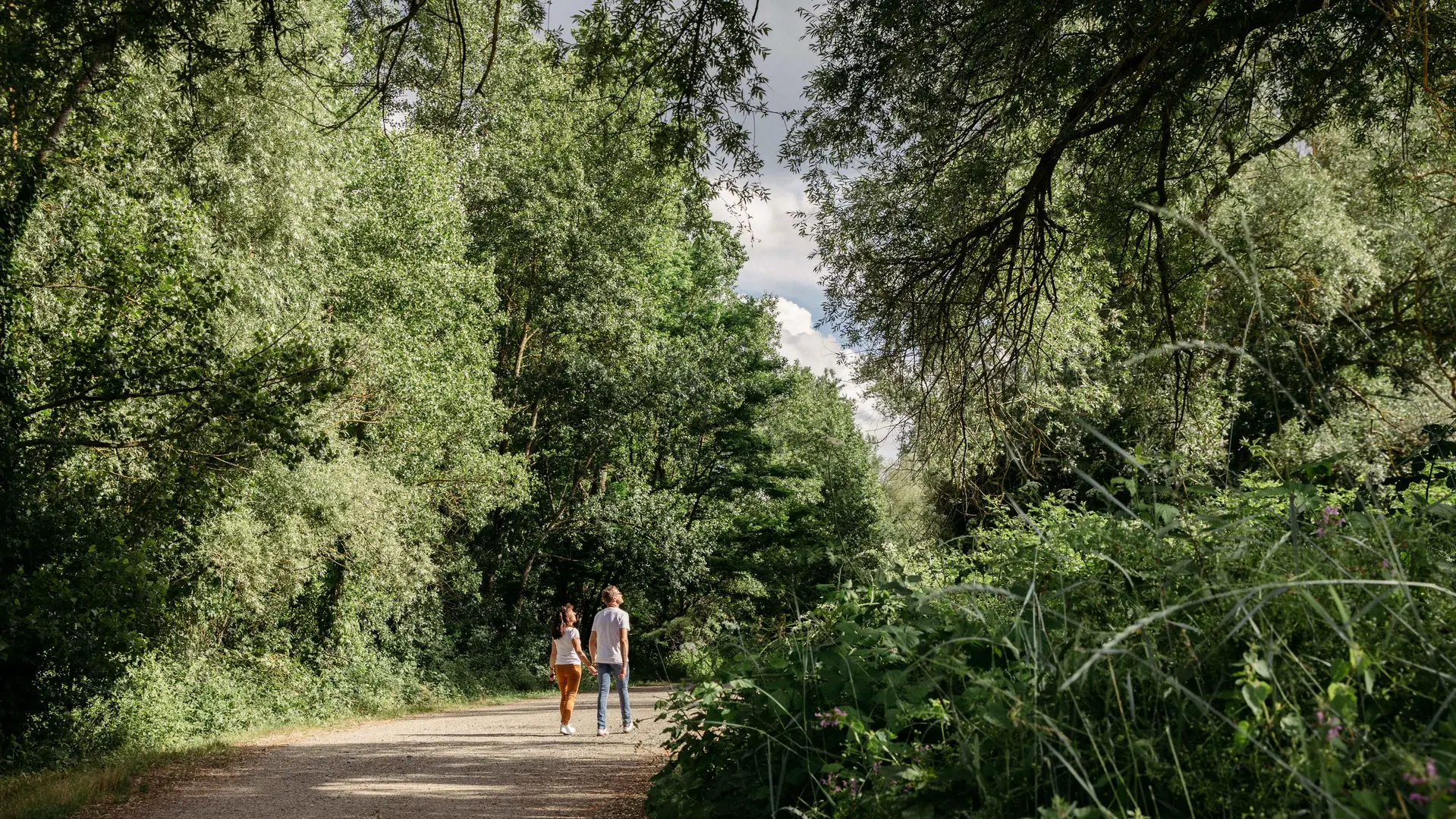 Saint Remy en Rollat