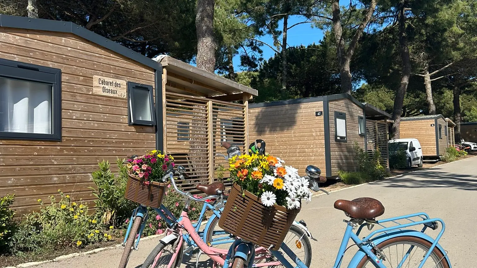 Location de vélos sur place