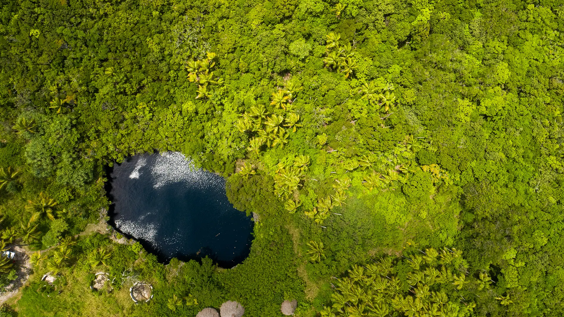 View from the sky