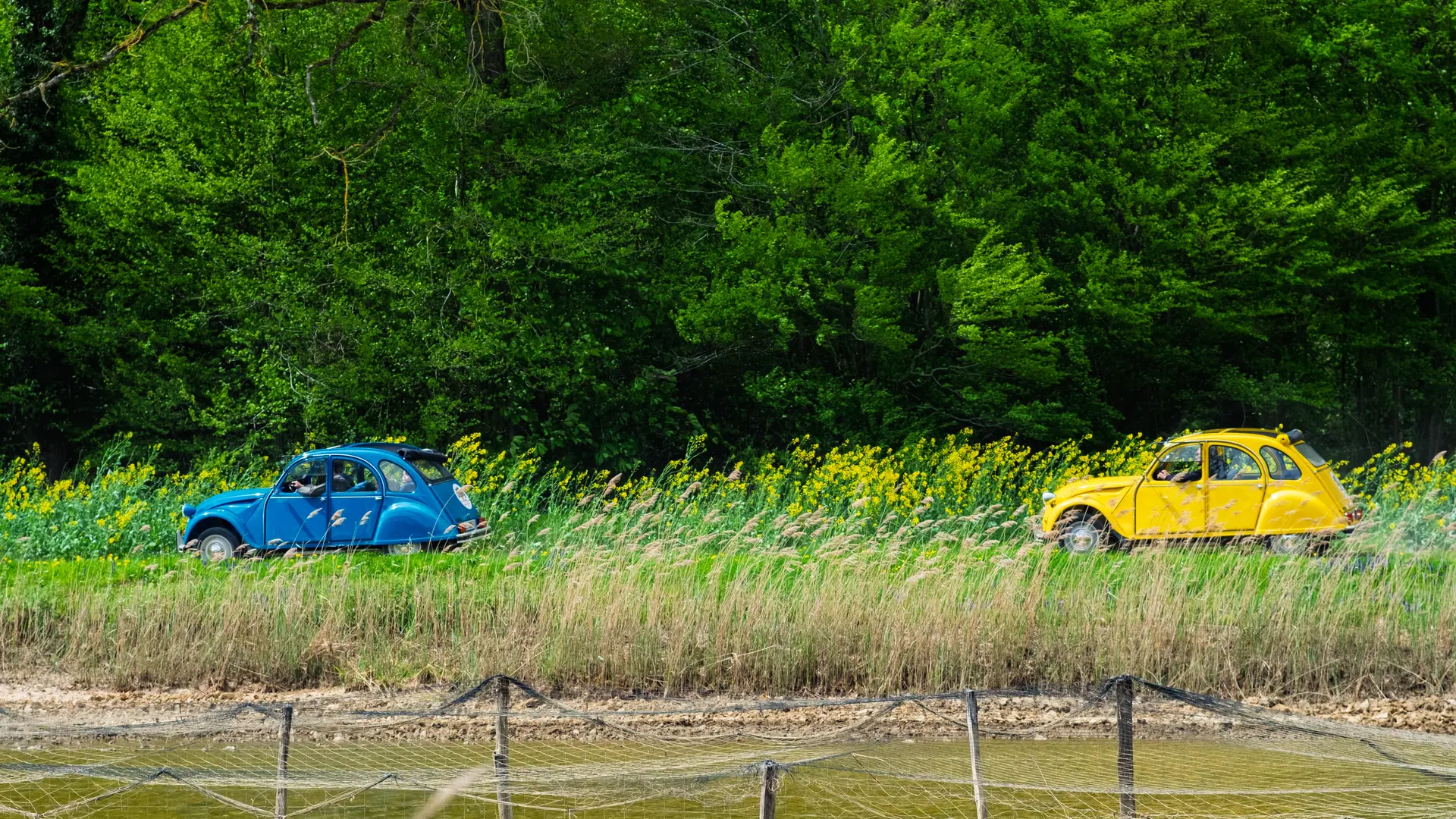 Rallye découverte