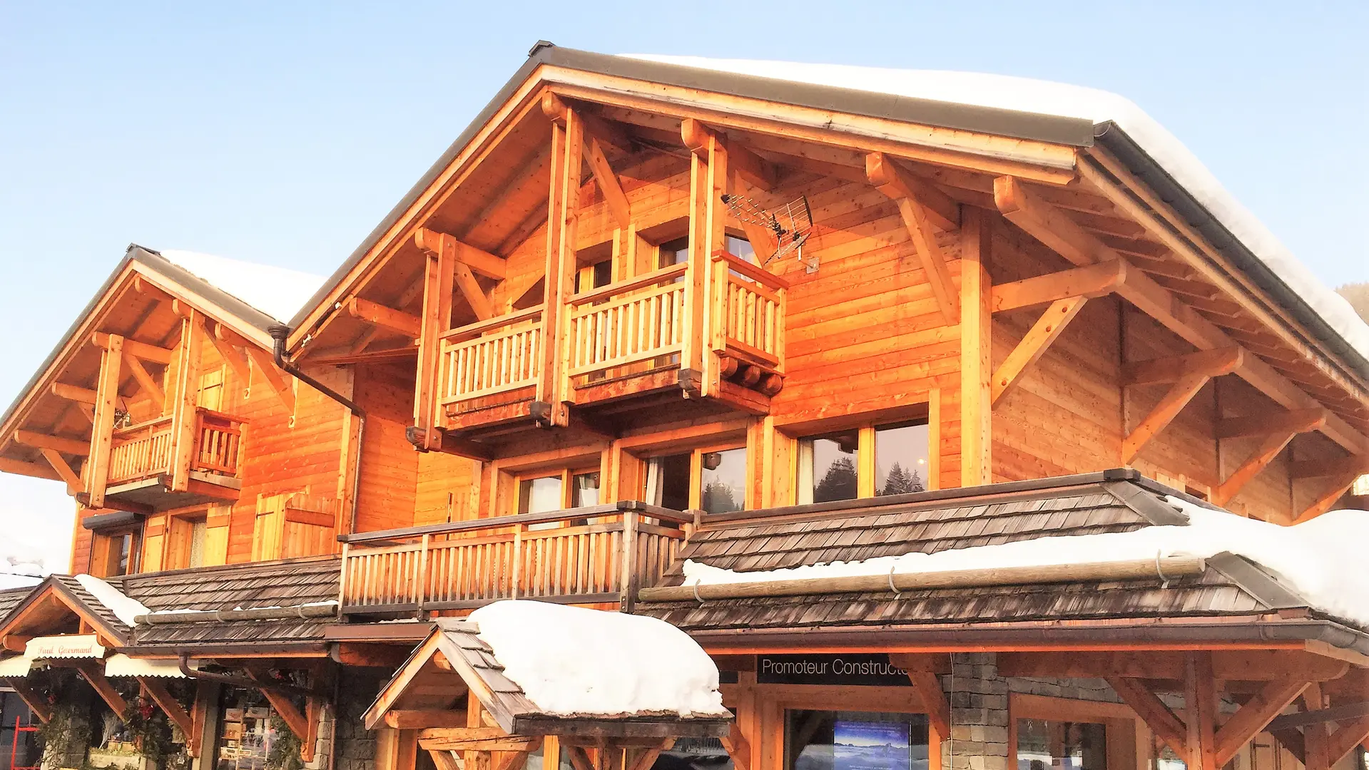 Grillet-daguet-Bleuet