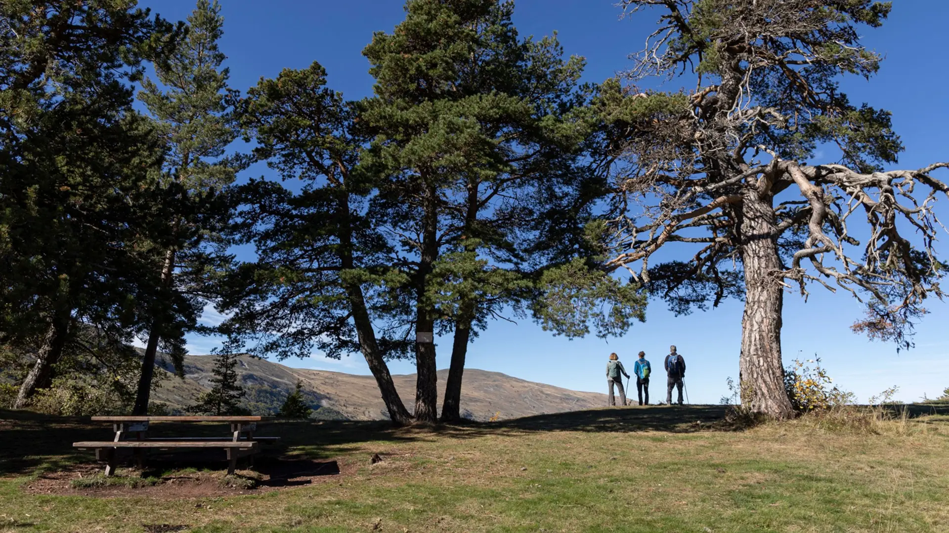 Sur les rives du lac des Monges